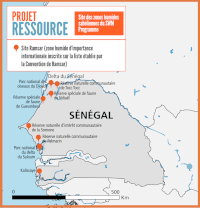 SEN site map R1